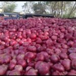 RED ONION